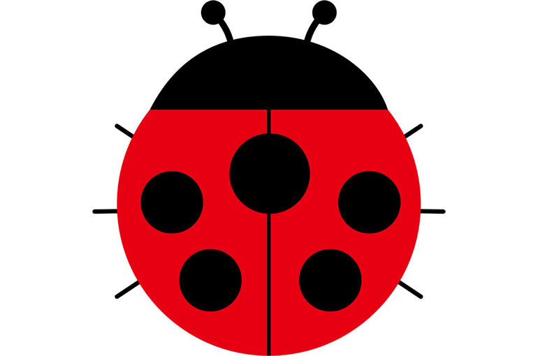 虫