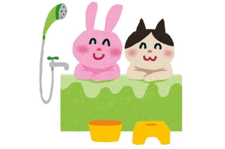 動物