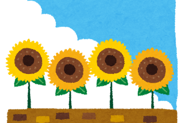 ひまわり