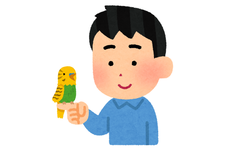 インコちゃん