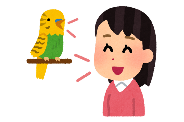 さくらちゃん