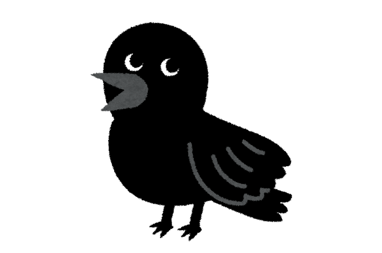 カラス