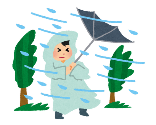 雨