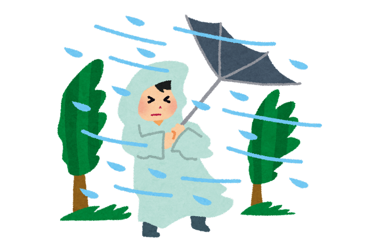 雨