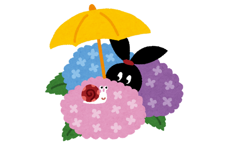 ぴょこ