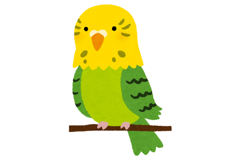 インコ