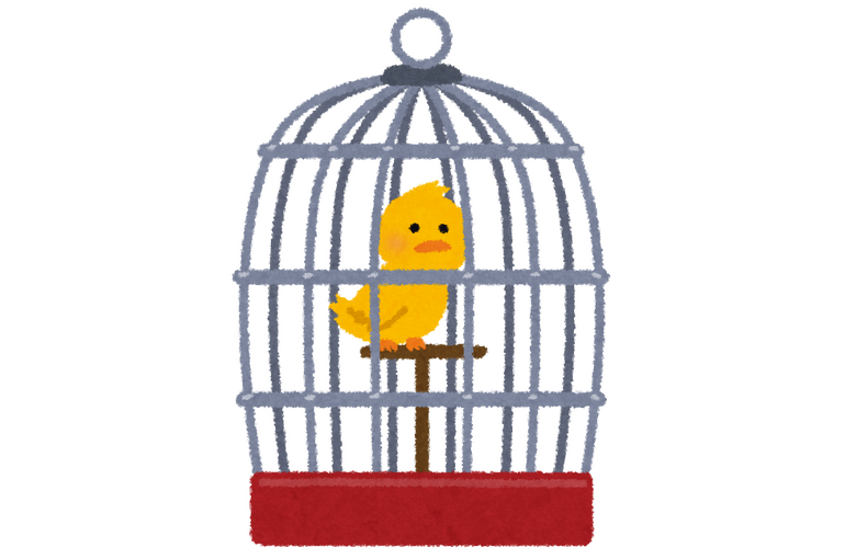 インコさま
