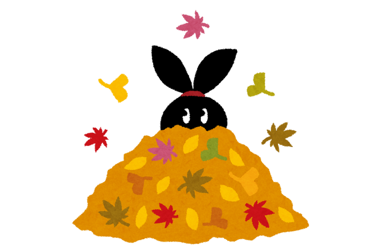 11月