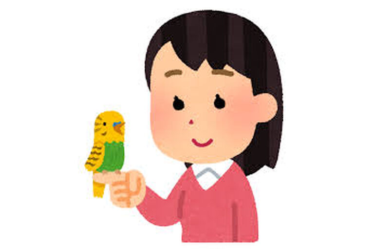インコ