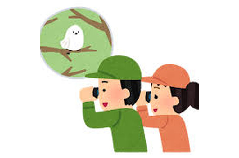 観察