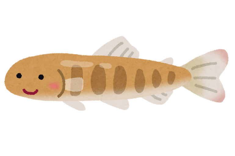 魚