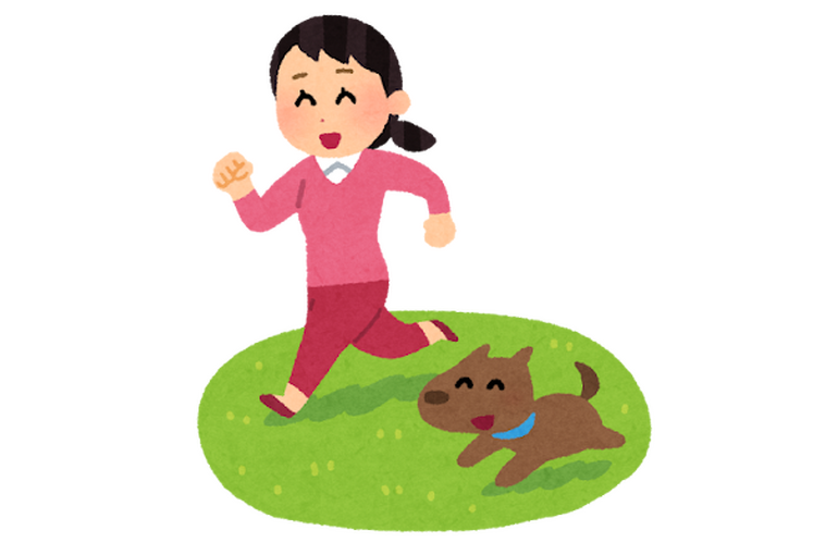 イヌ