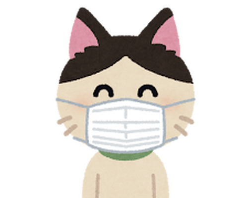 ねこ