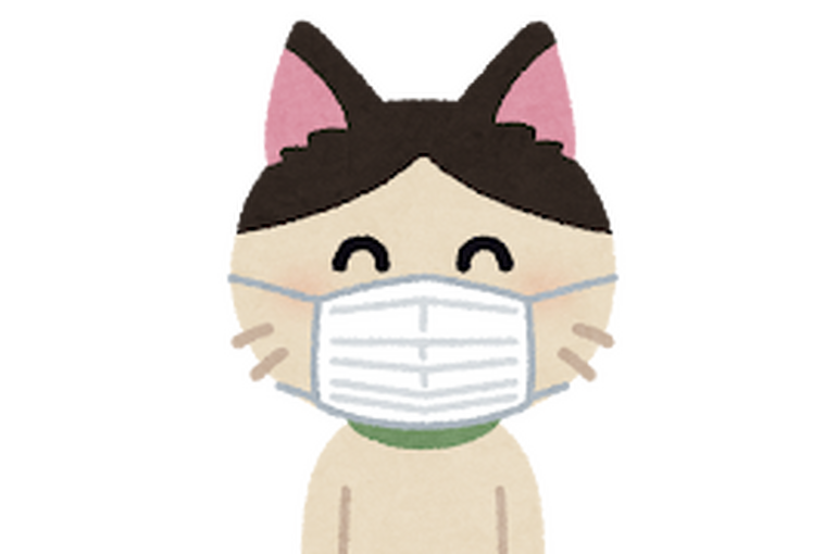 ねこ