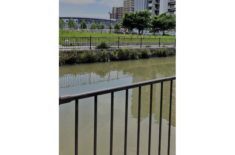 におどり公園②