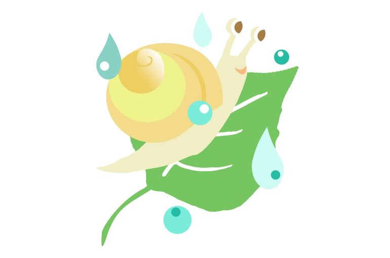 雨の日