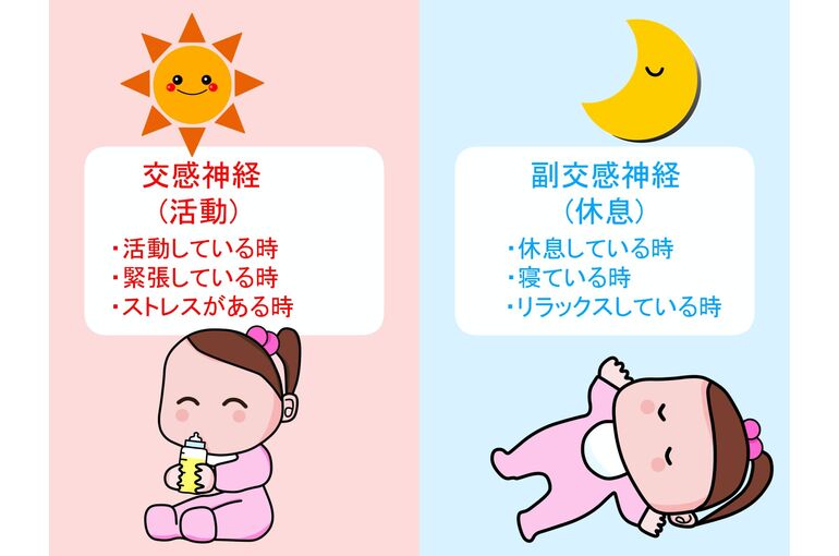 自律神経